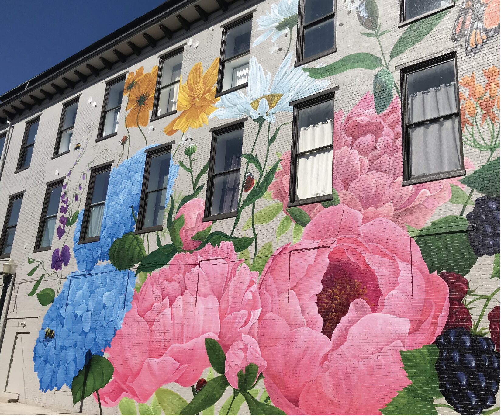 A Harrisburg Holiday: Summer in Harrisburg can feel like a dreamy vacation, if you make the effort