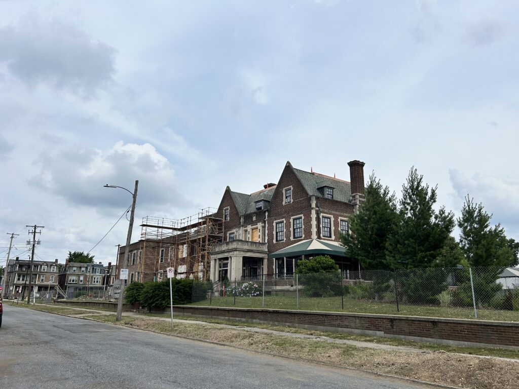 Harrisburg forester reminds residents of proper tree removal, planting process