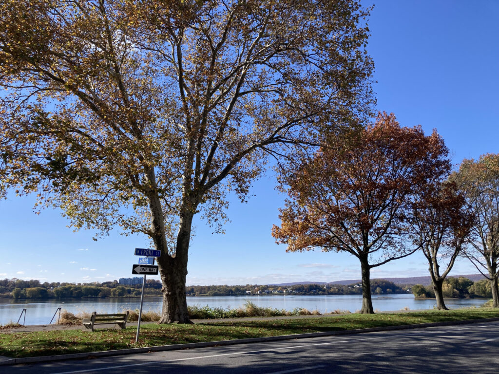 trees harrisburg riverfront